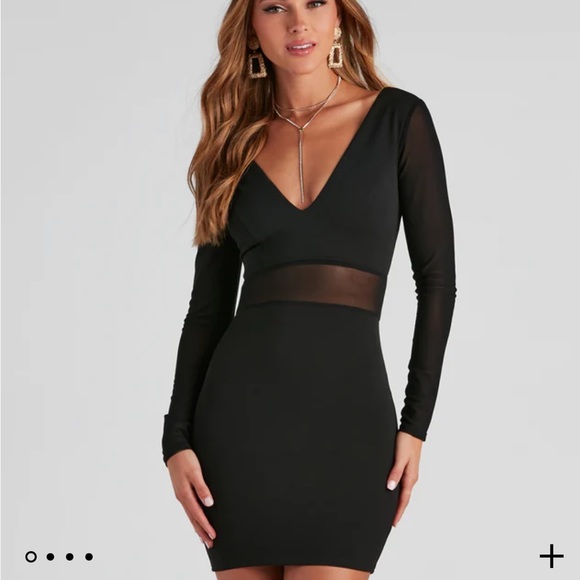 Sheer Bet Mesh Paneled Dress from Windsor - Picture 6 of 6
